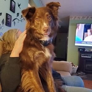 Meet your Posher, Tamie